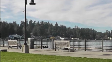 Lake Oswego Appraiser - View of Lake