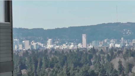 SE Portland Home Appraisal View