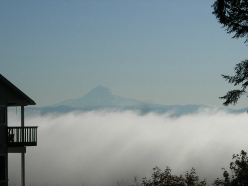 View of Mt. Hood in Damascus