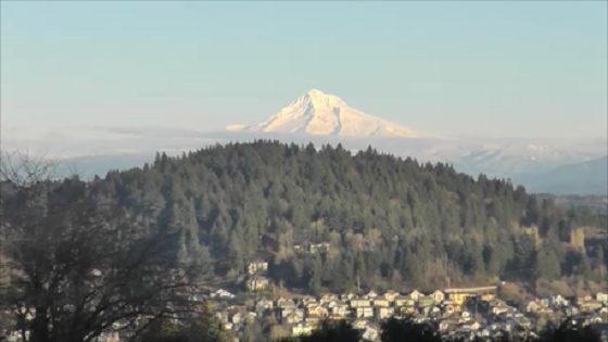 Happy Valley Home Appraiser